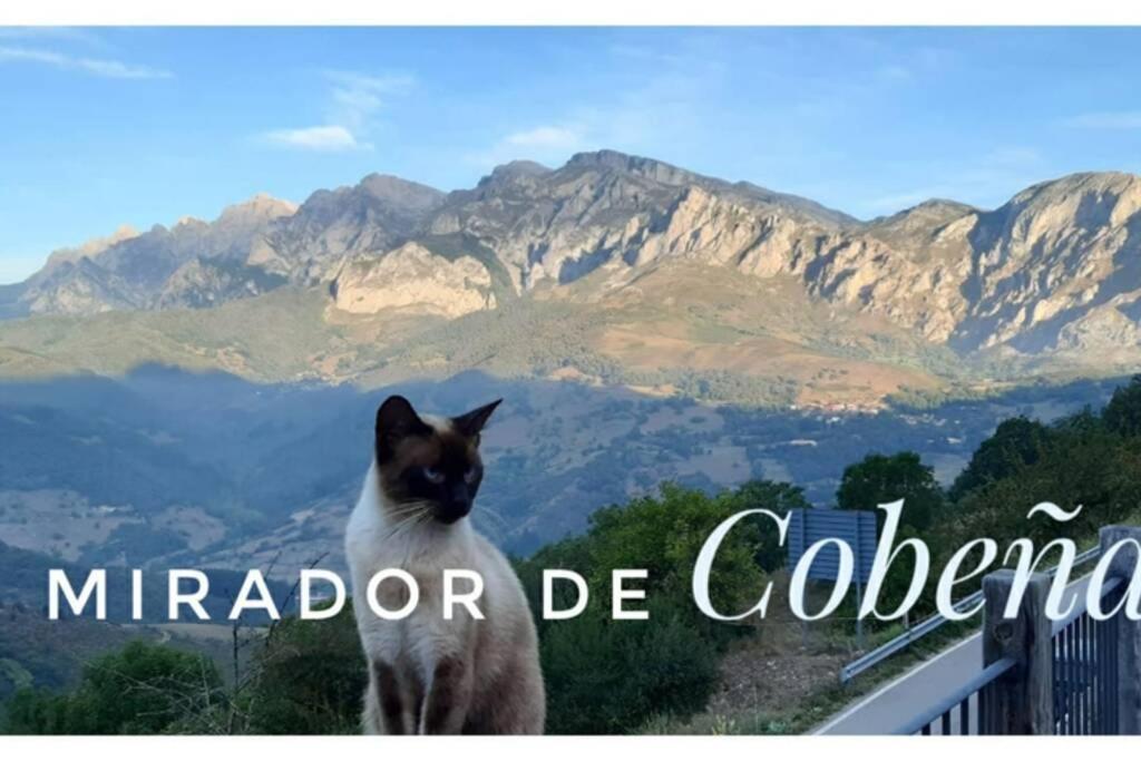 El Mirador De Cobena Ii. Aires De Liebana En Picos Cobena (Cantabria)